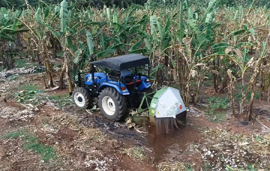 Banana Trunk Chopper Agriculture