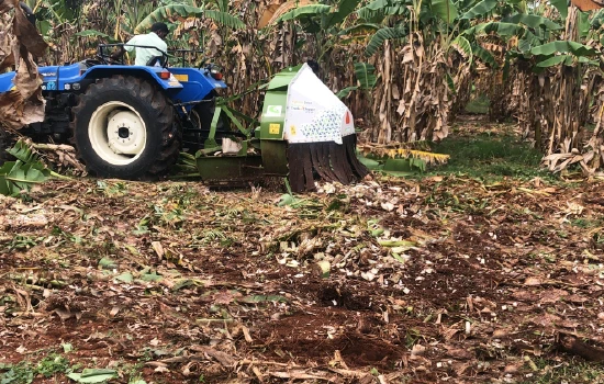 Banana Trunk Chopper Agriculture