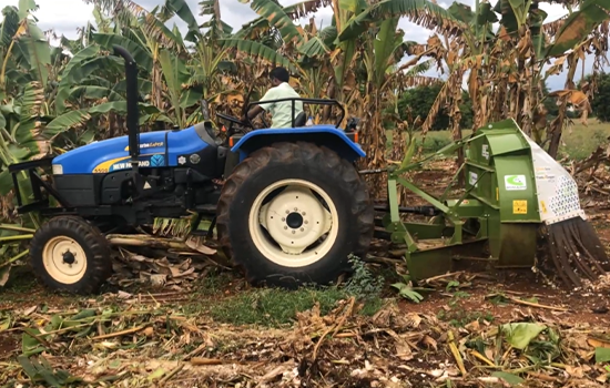 Banana Trunk Chopper Demo