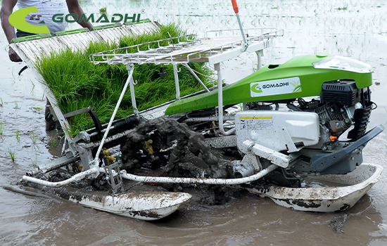 Paddy Transplanter Demo