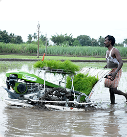 Sowing Planting